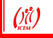 Logo der ICEM
