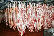 Schweinehälften in einem Kühlhaus