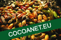 Bild: Kakaofrüchte mit Banner cocoanet.eu